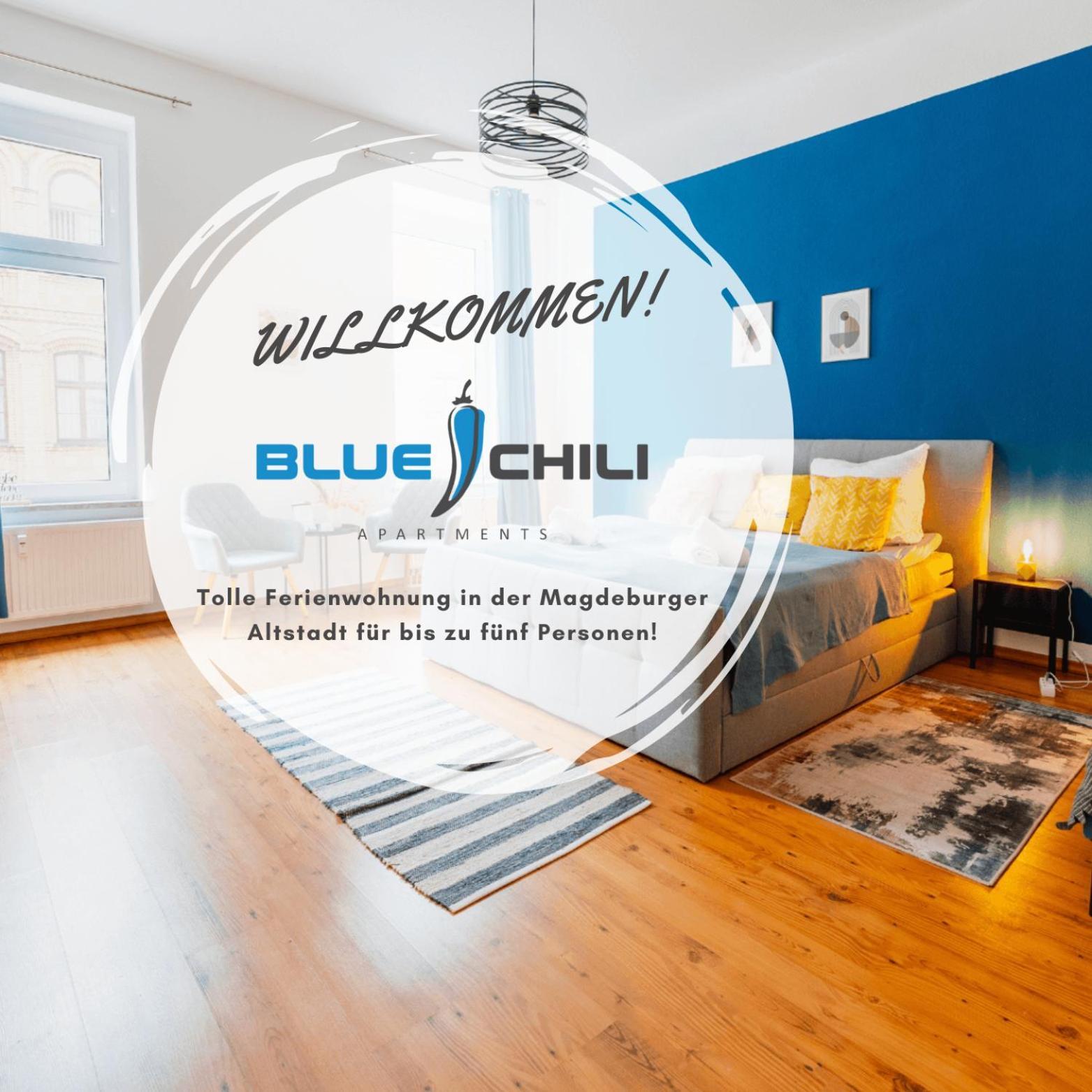 Blue Chili 02 - Md Zentral City Carre Wlan Магдебург Екстериор снимка
